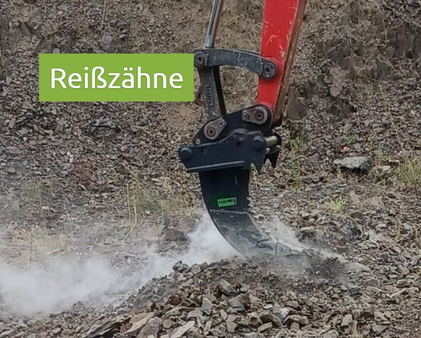 Reißzähne
