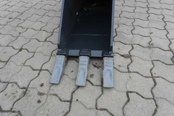 Zähne im Detail